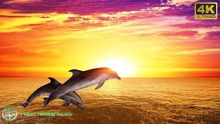 GOOD MORNING MUSIC  528HZ FRESH Healing Wake Up Music