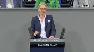 Alice Weidel rechnet knallhart mit der CDU ab! - AfD-Fraktion im Bundestag - 13.11.2024