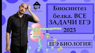 Все задачи на СИНТЕЗ БЕЛКА ЕГЭ 2023 |ЕГЭ БИОЛОГИЯ|Freedom|