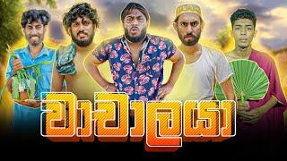 Wachalaya | වාචාලයා - Dukka Productions (@DukkaTV @Dukka)