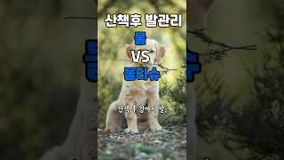 강아지 발 관리, 물 VS 물티슈 진짜 좋은 방법은?
