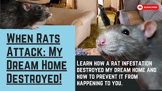 STOP RATS - Watch this because its easy with this method.