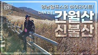 Yeongnam Alps Day 2–1ㅣHighlights of Yeong-al! The Vast Silver Grass Plains in Ganwolsan & Sinbulsan