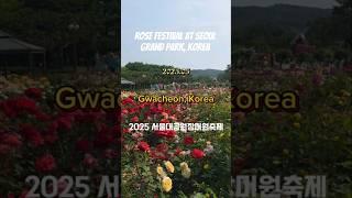 2025 서울대공원 장미원축제
