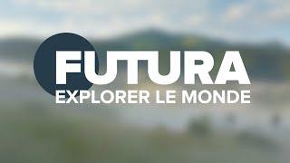 Explorer le monde avec Futura Sciences | Santé | Tech | Maison | Planète