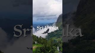 The most epic journey in Sri Lanka  #srilanka
