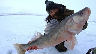 Diefenbaker Ice Walleye 30” BEAST