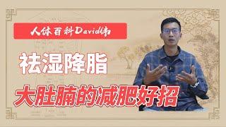 大肚腩的減肥好招！疏通肚子上的三條經絡，祛濕降脂【人體百科David偉】