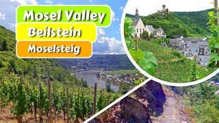 Von den Weinbergen Bruttig-Fankels nach Beilstein, dem "Dornröschen der Mosel" - Moselsteig POV