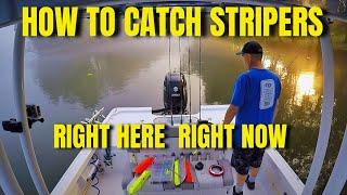 Striper Fishing ON YOUR LAKE! Finding Bait- Planer Boards- Floats- Rigs. RIGHT NOW #2 Simrad