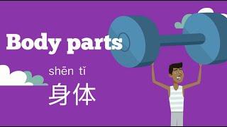 Body parts-1 | 身体-1 | Learn Chinese #body @身体