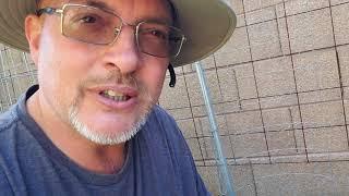 Richard Mellen Organic Realtor in Peoria Az - Follow up Walkthrough to my backyard garden Paradise