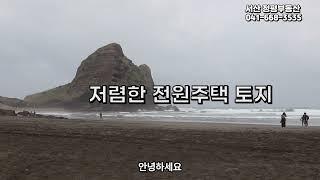 부동산 토지 태안군 핫한 전원주택, 리조트 토지 경매