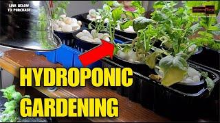 Hydrponic Gardening with Guthrie Jenkins | JoeteckTips