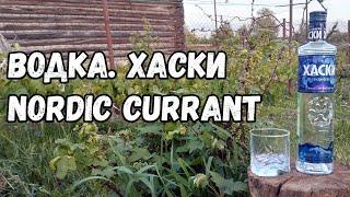 Водка. ""Хаски "северная смородина""