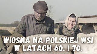 Polska Wieś ️ Wiosenne prace polowe w latach 60. i 70. XX wieku