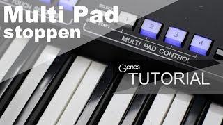 Looped Multi-Pad stoppen, Tutorial für alle Yamaha-Keyboards