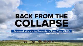 Curt Freese: Back from the Collapse