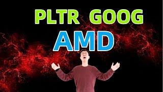 PLTR飞了，GOOG炸了，AMD再次阳痿！接下来该怎么办？