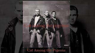 Cat Among the Pigeons