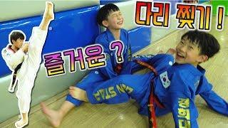 태권도 즐거운 ? 다리찢기 훈련 ! 국기원 준비 중인 버섯도리 품새 겨루기 발차기 연습 ! 태권도 잘하는법 없나 ? 고된 수련만이 정답 ! 꿀잼 어린이 영상 taekwondo
