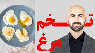 #03 - تخم مرغ ترس داره یا نه؟ آیا بیــن 2 تـــا 5 عدد تخم مرغ میتونه مناسب باشه؟