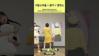 [엔믹스] 범접할 수 없는 광기의 그녀들