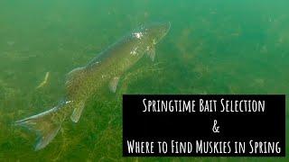 Spring Musky Bait Selection & Where to locate springtime Muskies