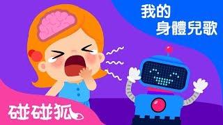 爲什麼-打哈欠 | 我的身體兒歌 | 碰碰狐PINKFONG