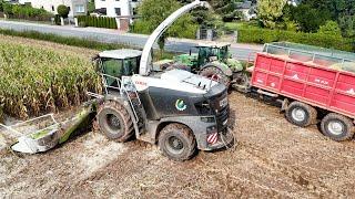 Mais 2024 | Claas Jaguar 980 am Mais häckseln mit Fendt 1050, 936 John Deere 7R 290