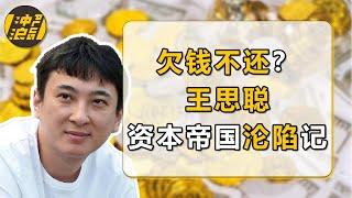 【中国商业史1重制版】欠债不是1.5亿而是20亿，王思聪濒临破产其实另有隐情，揭秘国民老公背后的资本故事