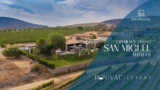 High-end Vineyard Property Close To San Miguel De Allende, Mexico | Ronival™ Real Estate