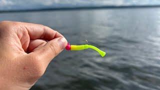 The Best Multi-species Lure~ The Mini Mite Jig