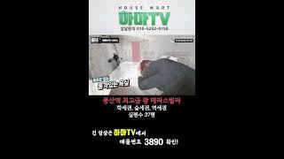 고양시 일산에 풍산역 최고급 왕테라스빌라! 매물번호 3890 #shorts