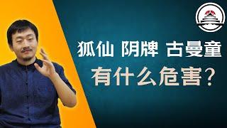 供养狐仙、阴牌、古曼童会有哪些危害？新加坡神霄宗坛 2024.10.18 直播内容 #五雷先生 #学道希仙 #神霄宗坛 #古仙道法