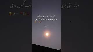 Tiktok video\King Writes 134 #urdupoetrystudio #kingofwrites#viral #youtubeshorts