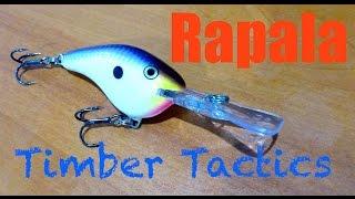 Rapala Timber Tactics Shad Review + Underwater Footage