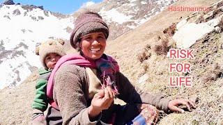Risk For Life || Himalayan Lives of Nepal