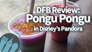 Pongu Pongu in Disney World's Pandora -- The World of Avatar Restaurant Review