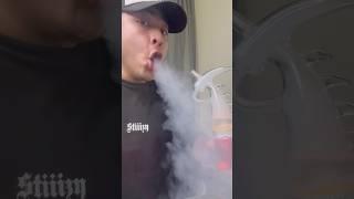 DINOSAUR VAPE