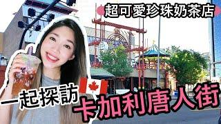 【加拿大生活】卡加利唐人街 | 加拿大也愛珍珠奶茶？ | Exploring Calgary’s Chinatown | Bubble Tea Place for Anime Lovers?