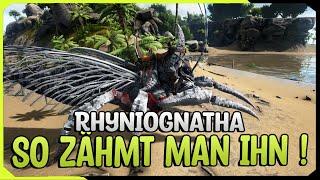 So Zähmt man den Rhyniognatha in ARK Survival Evolved