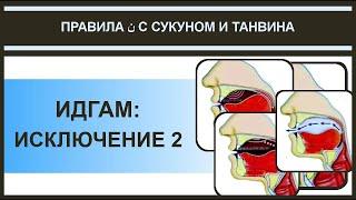 Айман Сувейд. 12. Правила нун с сукуном: ИДГАМ (исключение 2) (русские субтитры)