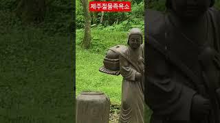 #국립제주절물휴양림 족욕소#2025/5/10#