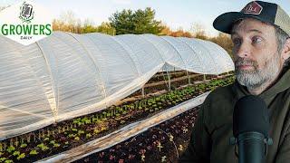 Can You Grow Ginger in the Field + Keeping Saved Seed From Becoming New Weeds