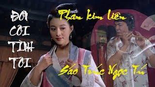 Đơn Côi Tình Tôi - Sáo Trúc Ngọc Tú | Phan Kim Liên x Võ Tòng