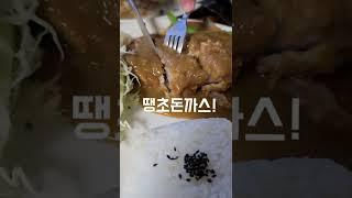 [부산사하구]요리같은 돈까스,몰랐으면 당장 달려와!#koreanfoods