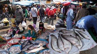 Cambodian Fish Market Scene in Kilo 9 - Amazing Second Sit Distribute Alive Fish, Seafood & More