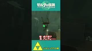 【ティアキン】橋を最大限活用せよ！？反動を使って飛び上がれ！！【祠攻略】＃Shorts