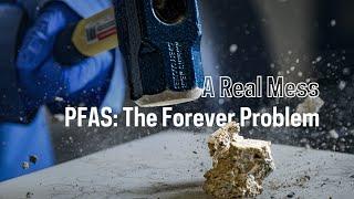 A Real Mess:  Solving the persistent problem of PFAS